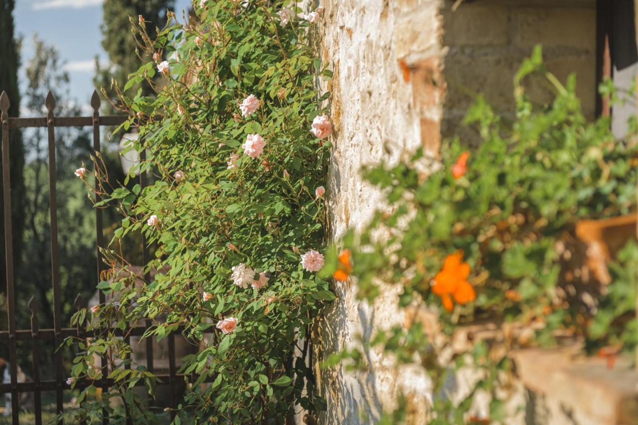 Agriturismo Cretaiole ピエンツァ エクステリア 写真