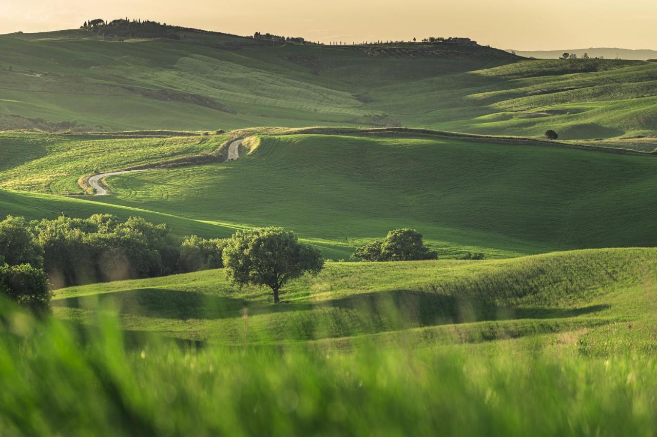 Agriturismo Cretaiole ピエンツァ エクステリア 写真